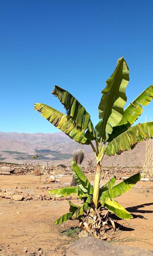 Campo De Cielo Mamalluca Valle De Elqui Vicuna Bagian luar foto